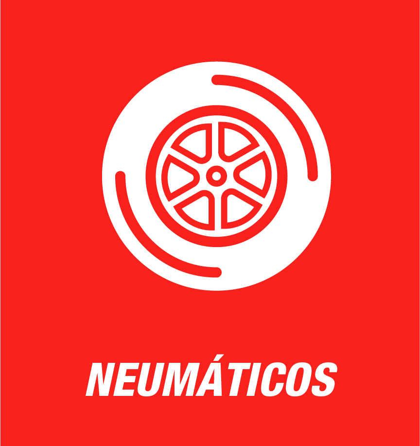 Neumaticos